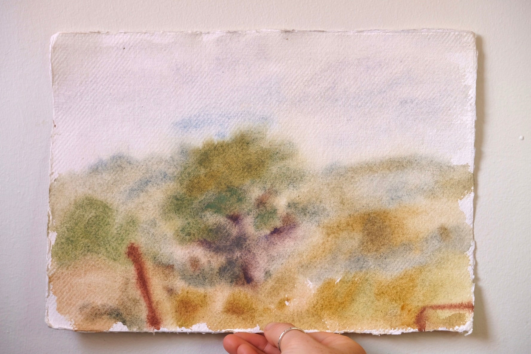 Watercolour Landscape - "Fence and White Cedar" by Clementine Belle McIntosh