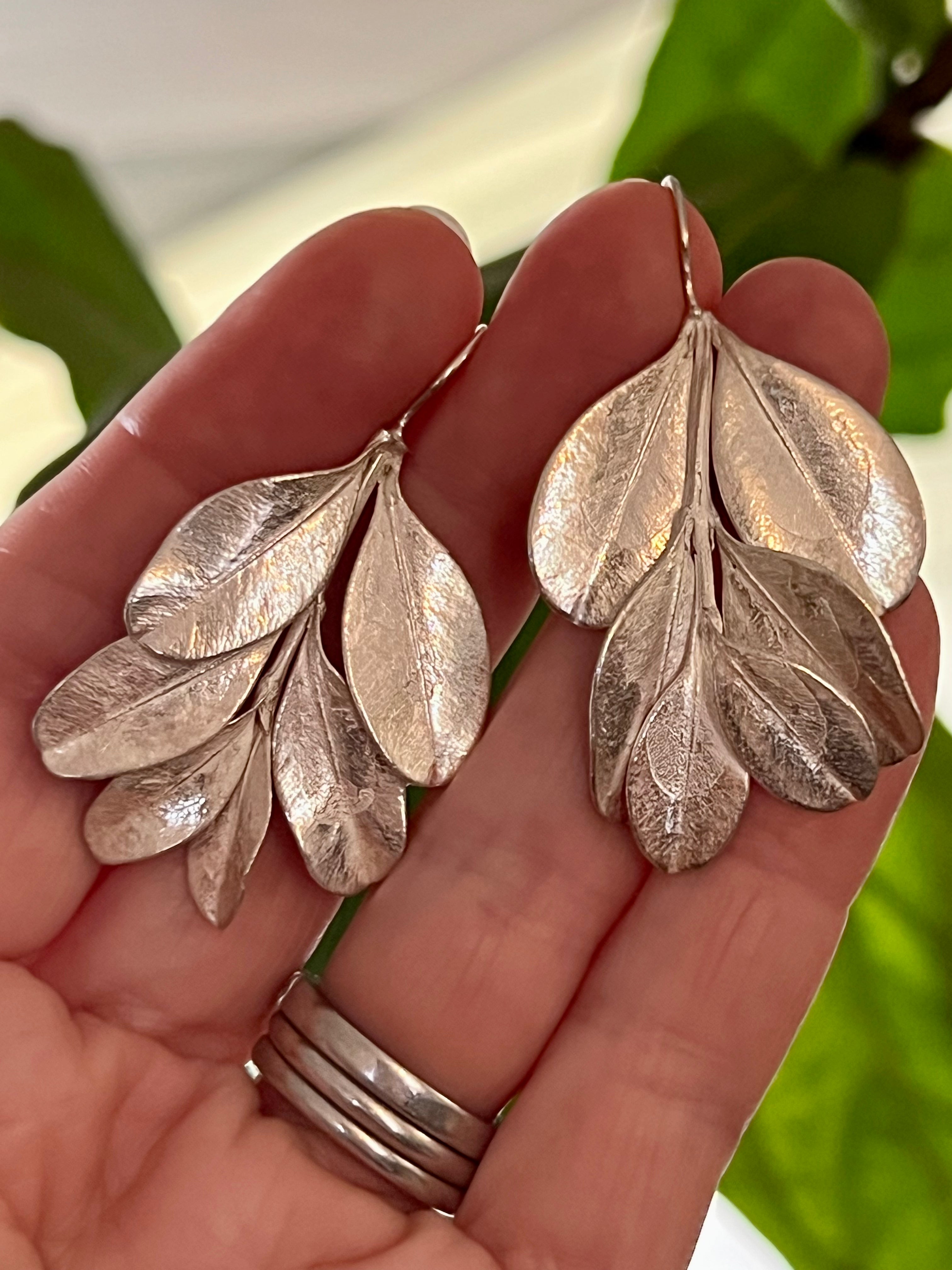 Botanical earrings - Japanese box bush - silver