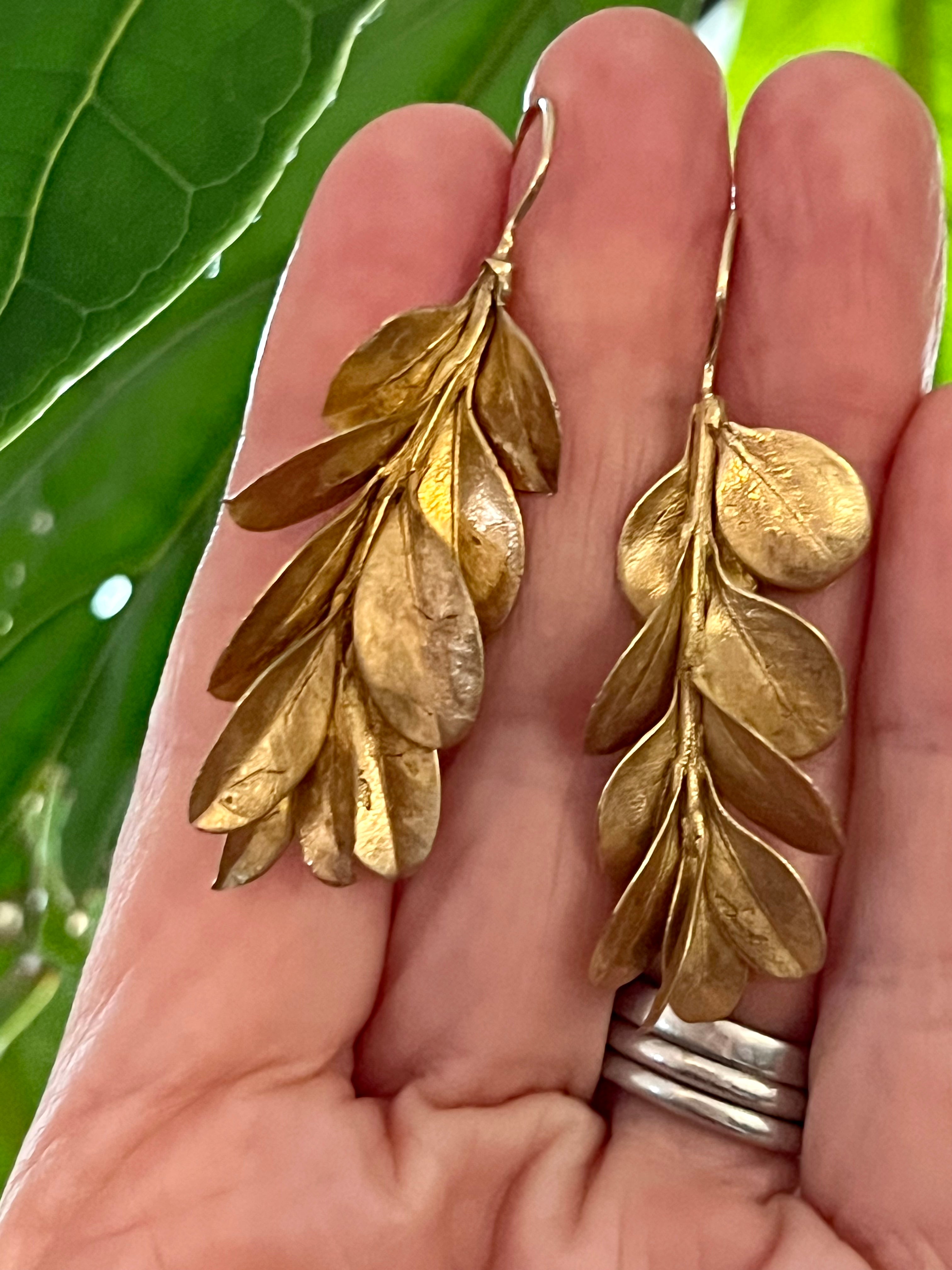 Botanical earrings - Japanese box bush - gold plated