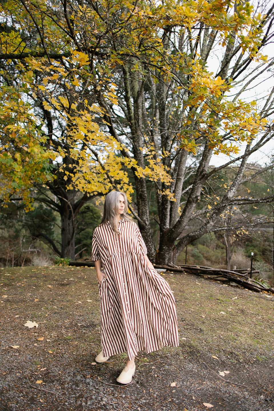 Alto Dress in Cotton Coco Stripe