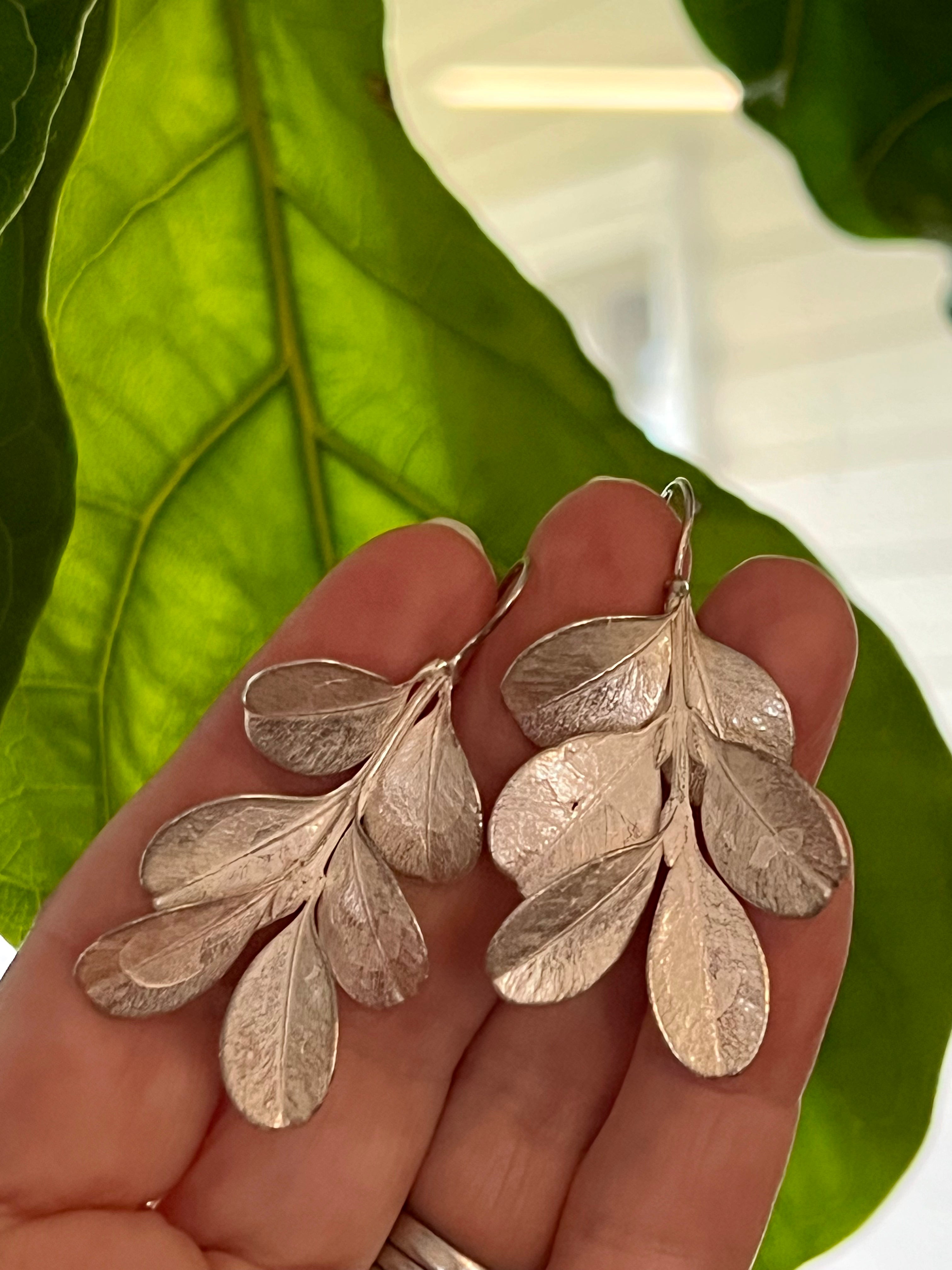 Botanical earrings - Japanese box bush - silver