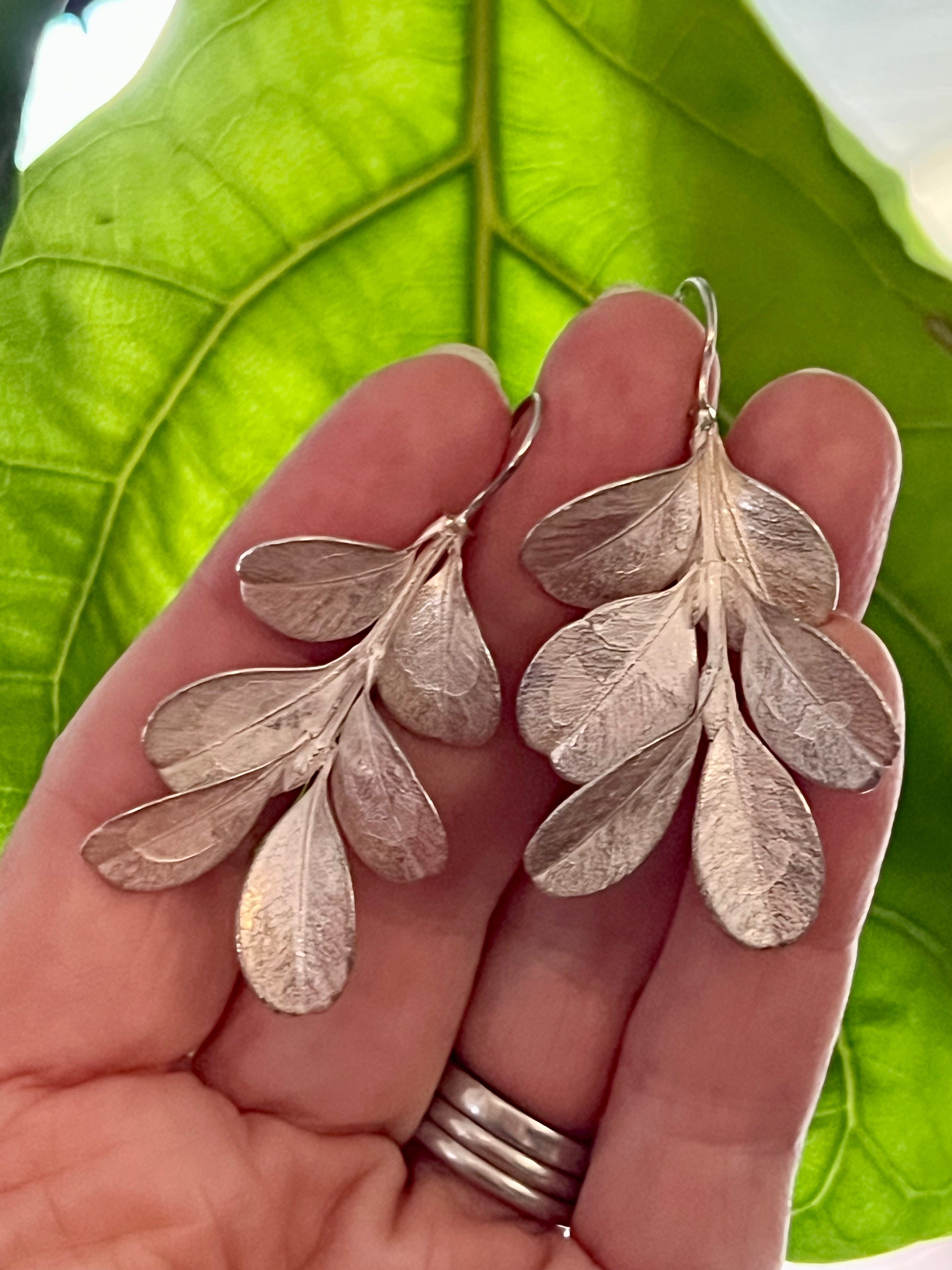 Botanical earrings - Japanese box bush - silver