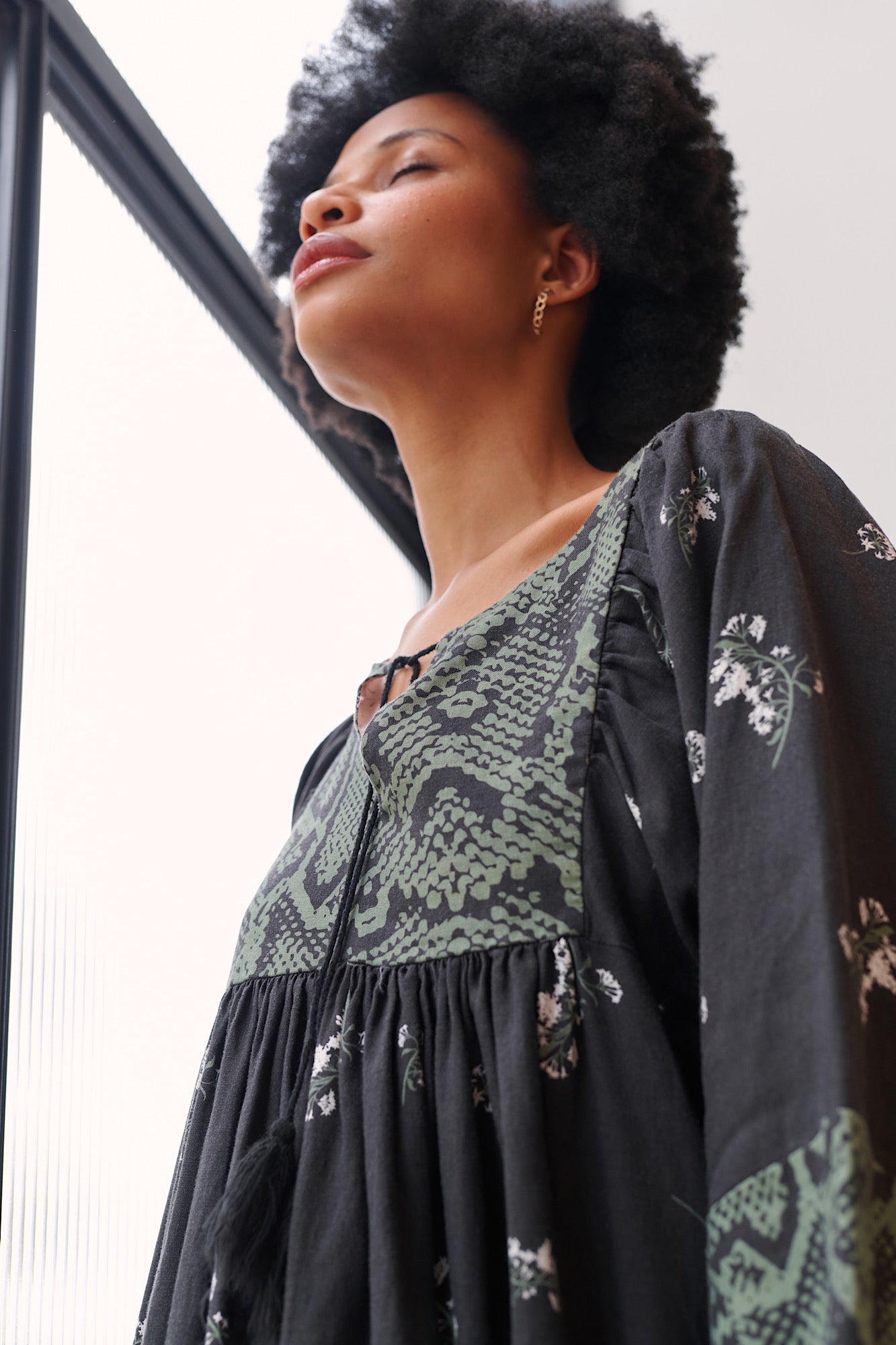 Dandelion Top - Splice